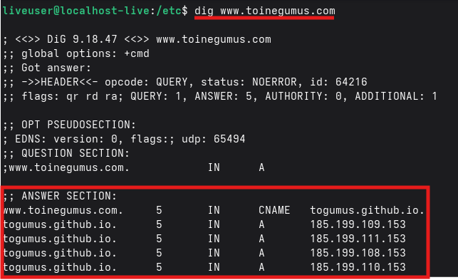 Commande dig pour toinegumus.com